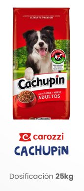 Cachupin 25K